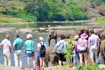 இலங்கைக்கு வருகை தரும் சுற்றுலாப் பயணிகள் குறித்து வெளியான தகவல்