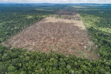 அமேசான் காடுகள் : அமெரிக்கா - பிரேசில் ஜனாதிபதிகள் ஒப்புதல்