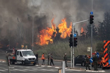 இஸ்ரேலில் தீவிரமாக பரவி வரும் காட்டுத்தீ