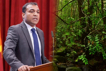 காடுகளுக்கு தீ மூட்டுபவர்களுக்கு எதிராக சட்ட நடவடிக்கை - செய்திகளின் தொகுப்பு