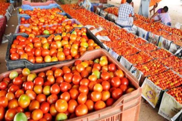 தக்காளி விலை தாறுமாறு..! சென்னையில் தக்காளி விலை மீண்டும் உயர்வு