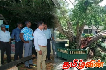 மரம் விழுந்து பலியான மாணவன்! பாடசாலை அதிபர்களுக்கு விடுக்கப்பட்டுள்ள அவசர அறிவிப்பு