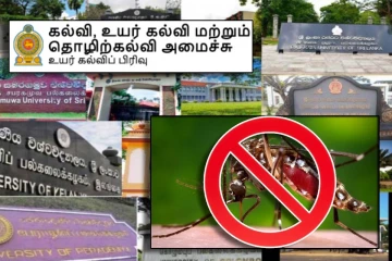 பல்கலைக்கழகங்களில் டெங்குவை கட்டுப்படுத்த புதிய வழிகாட்டல் : கல்வி அமைச்சு அறிவிப்பு