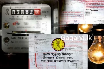 සියලුම විදුලි පාරිභෝගිකයින්ට සතුට දනවන සුබ ආරංචියක්..ඇමතිගෙන් ප්‍රකාශයක්..