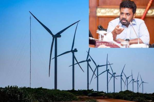 மன்னாரில் காற்றாலை நிர்மாண பணிகளை தொடர முழு இணக்கம் | Agreed To Continue Construction Wind Farm Mannar
