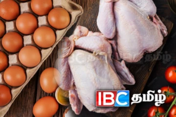முட்டை மற்றும் கோழி இறைச்சி தொடர்பில் வெளியான தகவல்