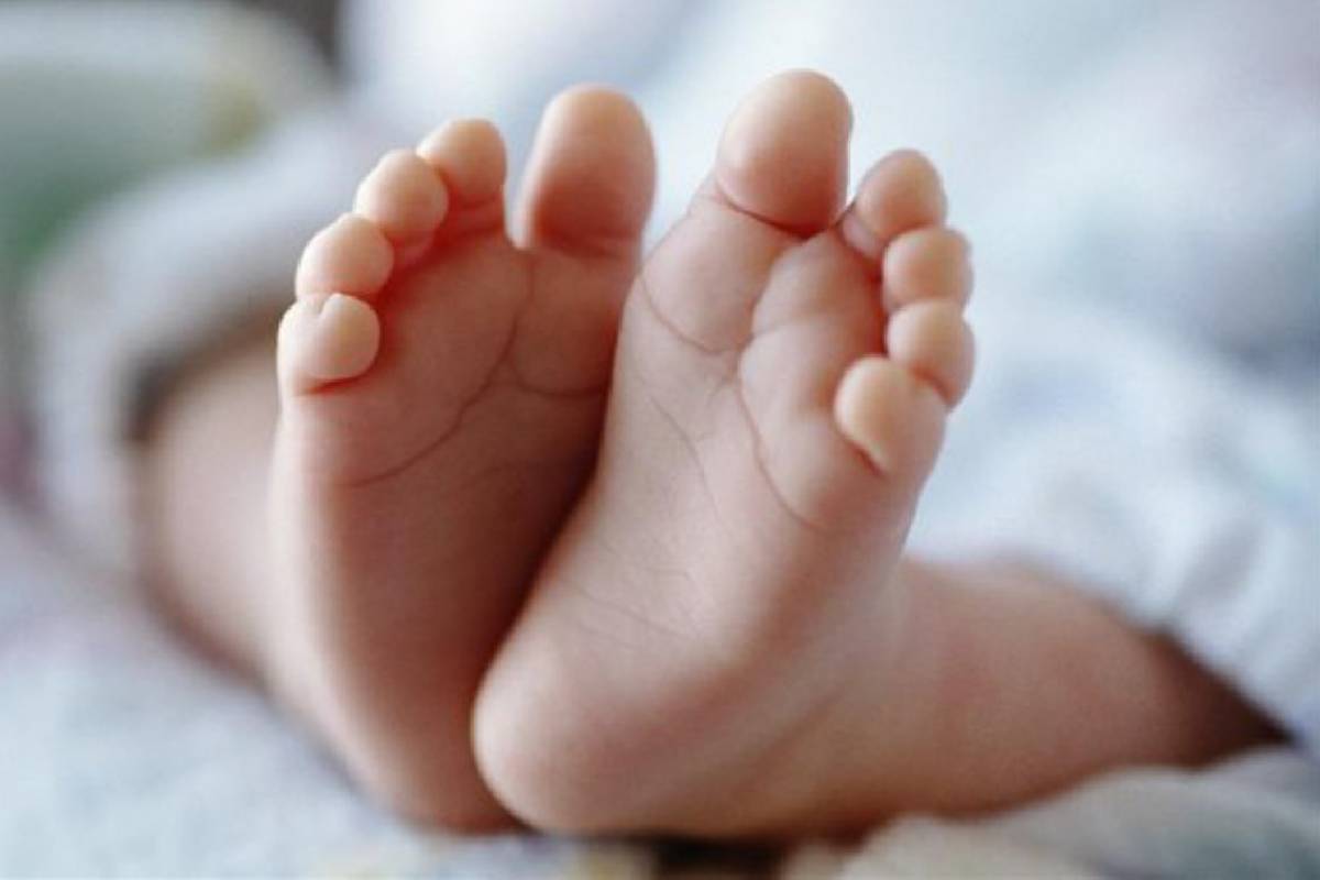 கிளிநொச்சியில் கிணற்றில் இருந்து இரண்டு வயது பெண் குழந்தை சடலமாக மீட்பு | Girl Baby Dies After Falling Unprotected Well கிளிநொச்சியில் கிணற்றில் இருந்து இரண்டு வயது பெண் குழந்தை சடலமாக மீட்பு | Girl Baby Dies After Falling Unprotected Well
