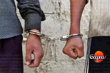 විල්පත්තුව උද්‍යානයේ සතුන් දඩයම් කළ දෙදෙනෙක් අත්අඩංගුවට