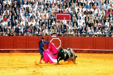 காளையால் தூக்கி விசப்பட்ட வீரர்: ஆபத்தான நிலையில் வைத்தியசாலையில் அனுமதி