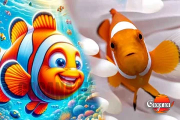 කාගෙත් ආදරය දිනා ගත් ' නීමෝ ' ගැන ඇසෙන දුක්බර කතාව