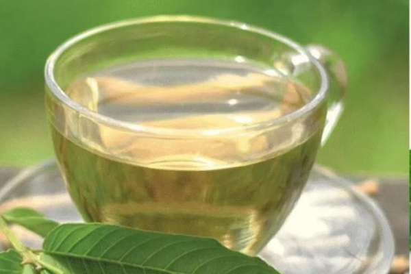 கொய்யா இலையால் இந்த நோயை தீர்க்கலாமா! | Guava Leaves Can Cure This Disease