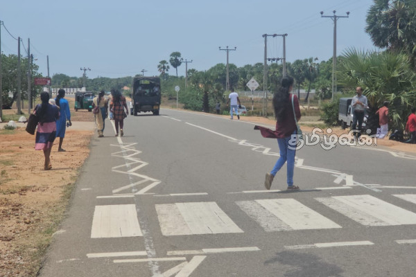 முத்தையன் கட்டில் இளைஞன் கொலை விவகாரம்! இராணுவத்தினருக்கு பிணையில் செல்ல அனுமதி | Muthaiyan Kattil Youth Murder Case