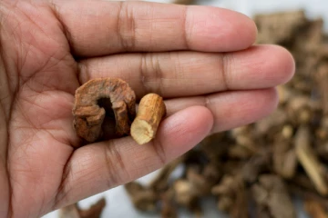 நொடியில் புத்துணர்ச்சி கிடைக்கனுமா? இந்த மூலினை பானத்தை உடனே குடிங்க..எடையும் குறையும்