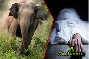 திருகோணமலையில் யானை தாக்கி ஒருவர் பலி! மற்றொருவர் படுகாயம்