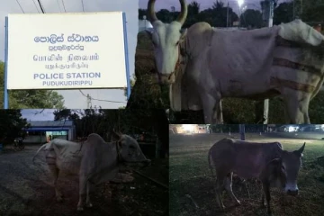 வன்னியில் இன்று இரவு இடம்பெற்ற சம்பவம் : நால்வர் கைது!