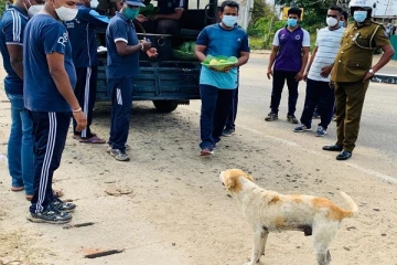 மன்னாரில் உணவு இன்றி அலையும் மிருகங்களுக்கு 2 ஆவது நாளாகவும் உணவு வழங்கிய பொலிஸார்