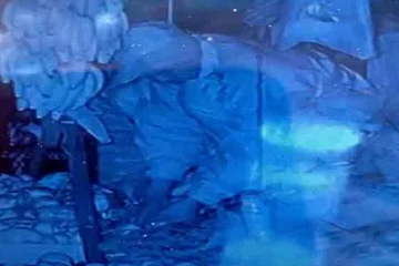 பழக்கடையில் இரவுவேளை கைவரிசையை காட்டிய நபருக்கு நேர்ந்த கதி!