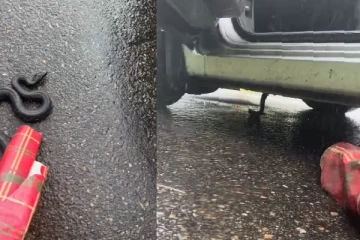 மழையிலும் பாம்பிற்கு உதவி செய்த பெண் - கடைசியில் பாம்பு செய்ததை பாருங்க