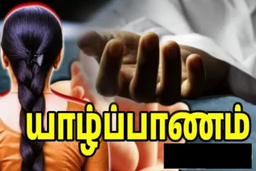 யாழில் கோர விபத்துக்குள்ளான முச்சக்கர வண்டி: பெண் பலி - இருவர் காயம்