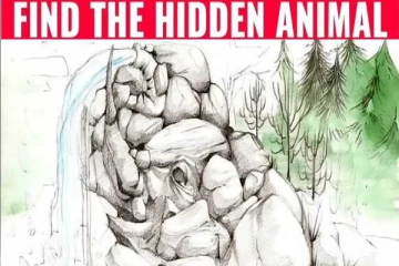 இந்த படத்தில் மறைந்திருக்கும் யானையை கண்டுபிடிக்க முடியுமா?