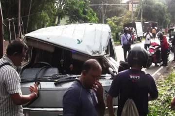 மரம் முறிந்து விழுந்து விபத்து: மூவர் வைத்தியசாலையில் அனுமதி