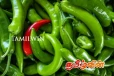 இலங்கை மக்களுக்கு அதிர்ச்சி கொடுக்கும் பச்சை மிளகாயின் விலை