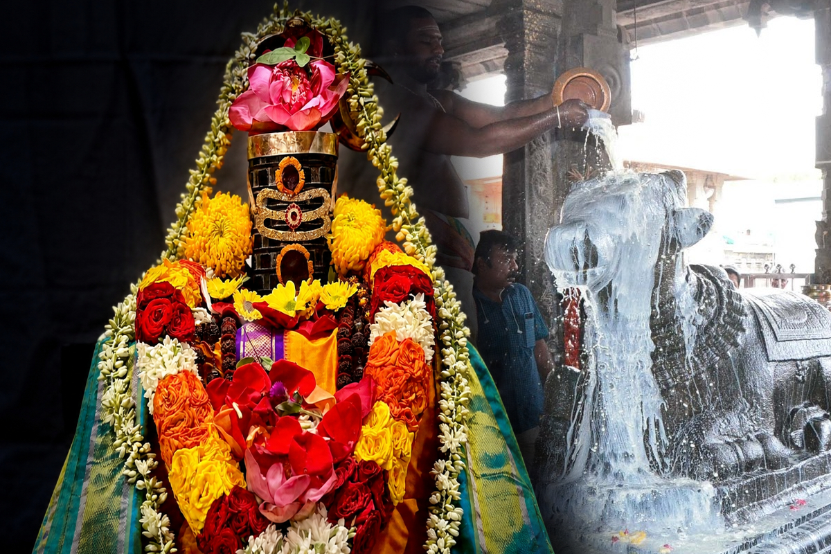 இன்று வாழ்வில் சுபிட்சம் தரும் சுக்கிர வார பிரதோஷம்! | Shukra Vara Pradosham Brings Prosperity To Life