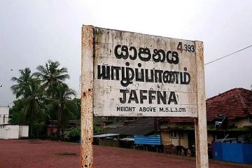 யாழில் இரவோட இரவாக 200 பனை மரங்கள் அழிப்பு
