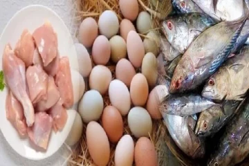 நவராத்திரி விரதம்; இறைச்சி, மீன், முட்டை விற்பனைக்கு தடை