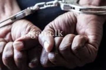 දේවාලයක ප්‍රධාන කපුවා මත්ද්‍රව්‍ය තිප්පොලේ..