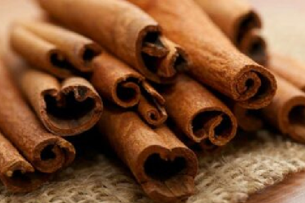 வடமாகாணத்தி்ல் இலங்கையின் இரண்டாவது தெங்கு முக்கோண வலயம் | Second Coconut Triangle Launched Northern Province