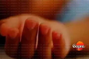 පුංචි මල් කැකුළක් දිය වලකට වැටී අවසන් ගමන් යයි