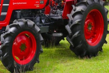 மன்னாரில் பெரும் சோக சம்பவம்... தந்தையின் கவனக்குறைவால் பறிப்போன சிறுமியின் உயிர்!