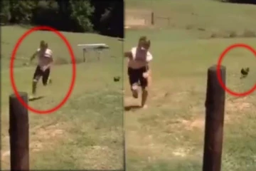 தாக்குதலிலிருந்து தப்பிக்க தலைதெறிக்க ஓடிய இளைஞர்: விரட்டியது யார் தெரியுமா? சிரிப்பை அடக்கமுடியாத காட்சி