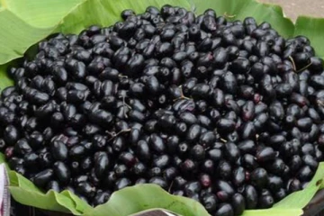 இரத்த சோகை,சர்க்கரை நோய்,பிபி இருக்கா - கவலை வேண்டாம் இதோ இருக்கு இயற்கை மருந்து!