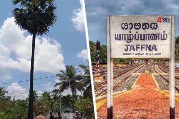 யாழில் பனை மரத்தில் ஏறிய குடும்பஸ்தருக்கு நேர்ந்த கதி