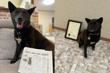 மாரடைப்பால் சுருண்டு விழுந்த நபர் - இடைவிடாமல் குறைத்து காப்பாற்றிய நாய்!