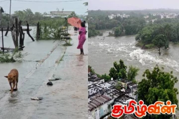 தேவைப்பட்டால் தொடர்பு கொள்ளவும்! கால்நடைகள் தொடர்பில் முக்கிய அறிவுறுத்தல்
