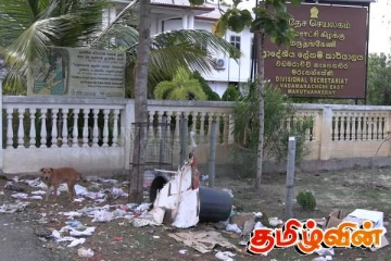 யாழ்.வடமராட்சி கிழக்கு பிரதேச செயலகத்தின் பொறுப்பற்ற செயல்: நோய் பரவும் அபாயம்