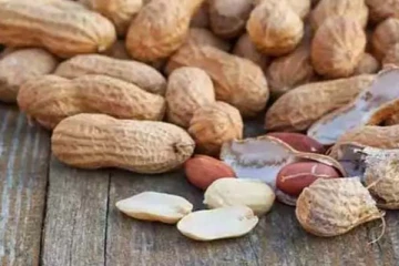 தினமும் காலையில் ஊற வைத்த வேர்க்கடலை! அதிசயத்தை கண்கூடாக காண்பீர்கள்