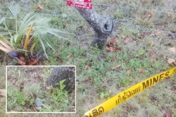 இலங்கையில் வெடிக்காத கைக்குண்டு மீட்பு: கிளிநொச்சியில் பரபரப்பு