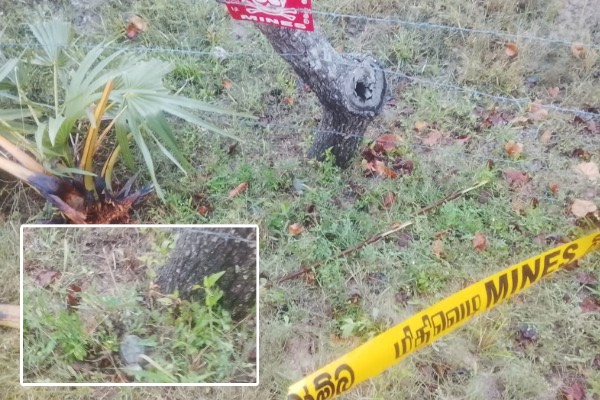 இலங்கையில் வெடிக்காத கைக்குண்டு மீட்பு: கிளிநொச்சியில் பரபரப்பு  லங்காசிறி நியூஸ்