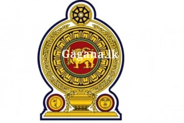 අනිවාර්ය විශ්‍රාම ගැන්වීමේ ක්‍රමයක්?. රජය විශේෂ තීරණයකට යයි..