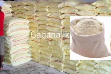 තව සති 02කින් තිරිගු පිටි සම්බන්ධව රතු එළියක්..