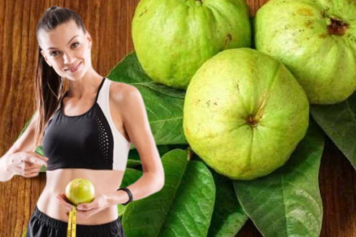 கெட்ட கொழுப்பை கரைத்து வெளியேற்றும் கொய்யா சட்னி... எப்படி செய்வது? | Guava Chutney For Weight Loss