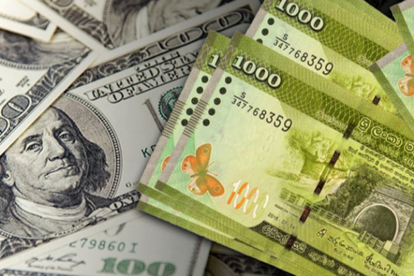 2024 இற்கு பின் முதல் முறையாக 310 ஐத் தொட்ட டொலர் பெறுமதி! | Usd Lkr Spot Rate Breaks Rs 310 Level Since 2024