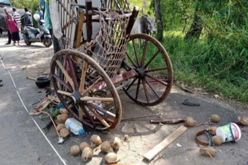 වන්දනාවේ යමින් සිටි තිරික්කල් පෙළට කඩා වැදුණු බස් රථය - පුද්ගලයින් 4 කට සහ ගවයින්ටත් බරපතලයි..