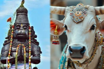 ஆஞ்சநேயரை வழிபாடு செய்த பசு.. திருவாரூரில் நடந்த அதிசயம்