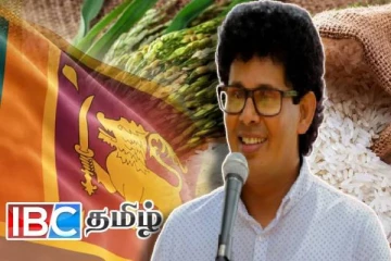 அரிசி தட்டுப்பாட்டுக்கு தீர்வு : நாடாளுமன்றில் அமைச்சர் வெளியிட்ட அறிவிப்பு