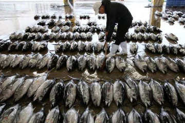 ஜப்பானில் இருந்து கடல் உணவுகளுக்கு மொத்தமாக தடை விதித்த நாடு